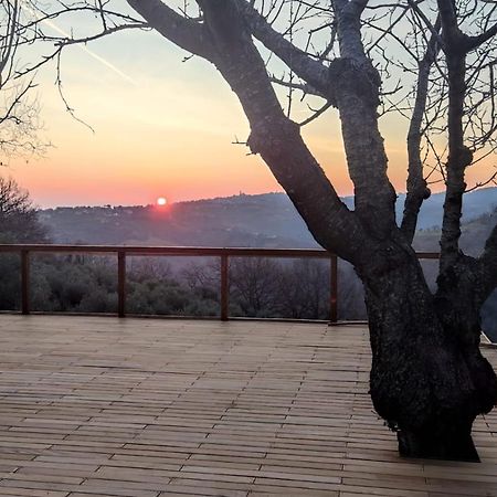 Bed and Breakfast "Cara Pace" In Collina Per Famiglie Montefiore Conca Exterior foto
