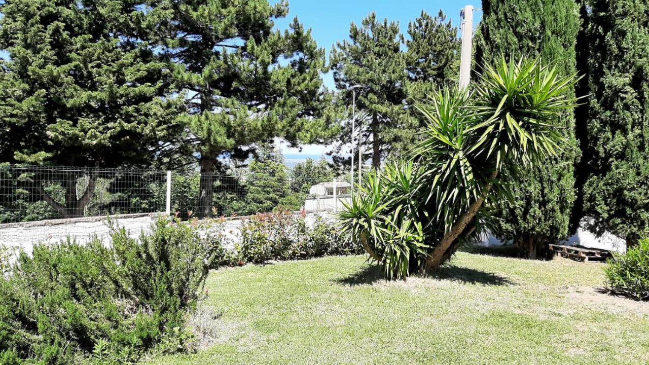 Bed and Breakfast "Cara Pace" In Collina Per Famiglie Montefiore Conca Exterior foto